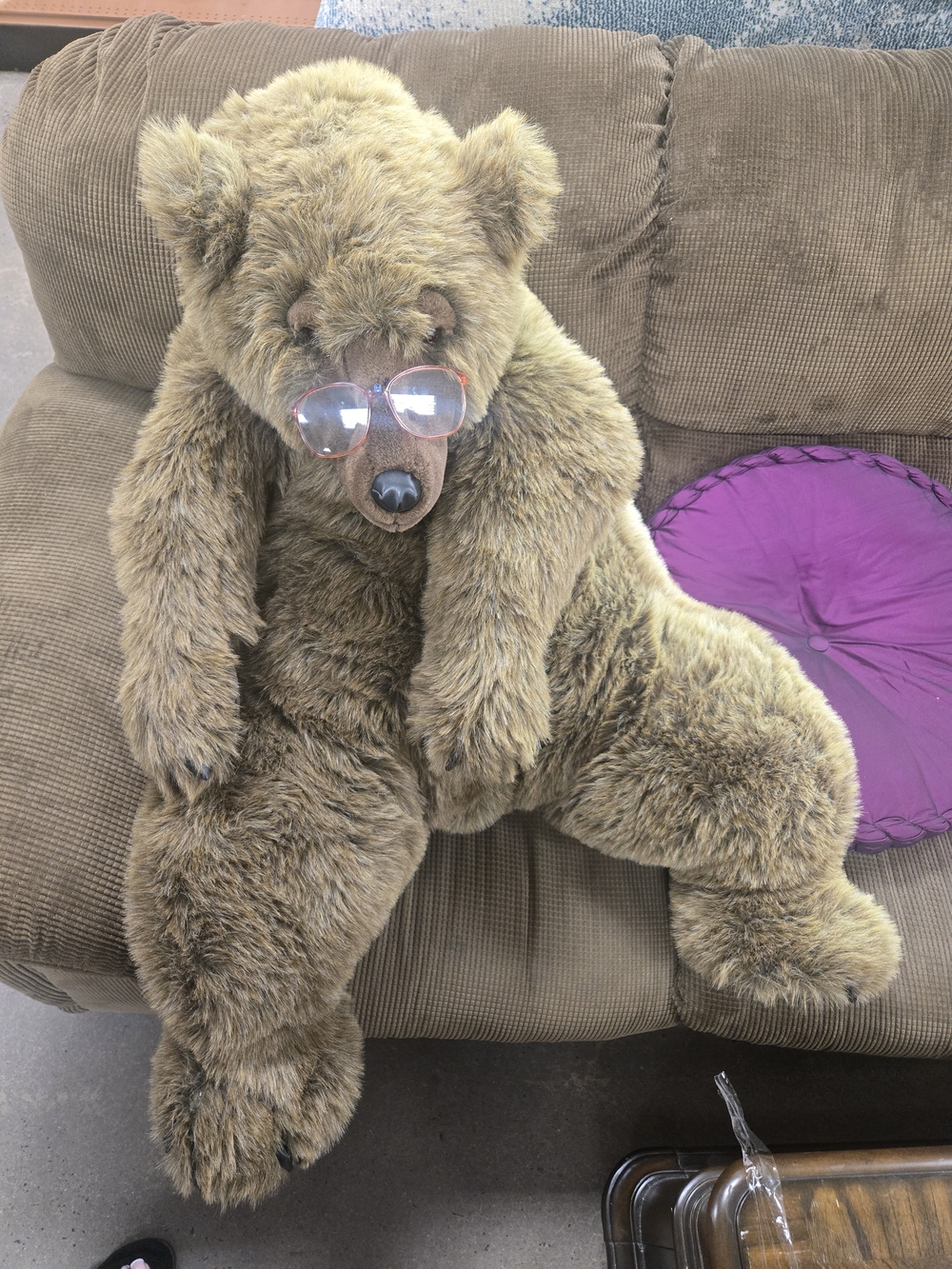 Large Plush Brown Bear with Sunglasses